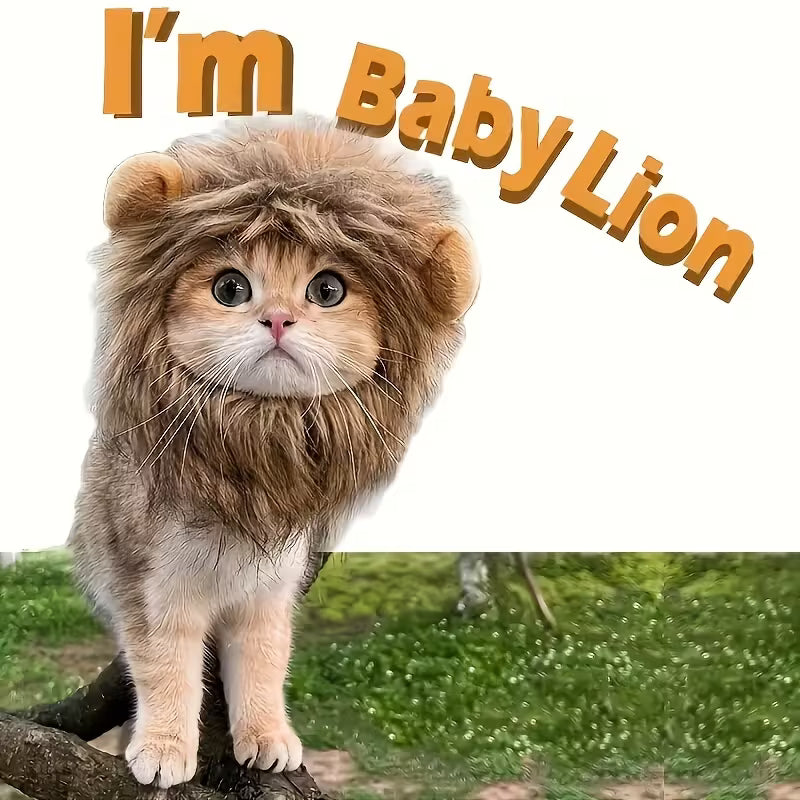 Cat Lion hats