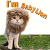 Lion Mane Costume for Cats
