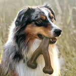 Benebone Wishbone Bacon Flavor