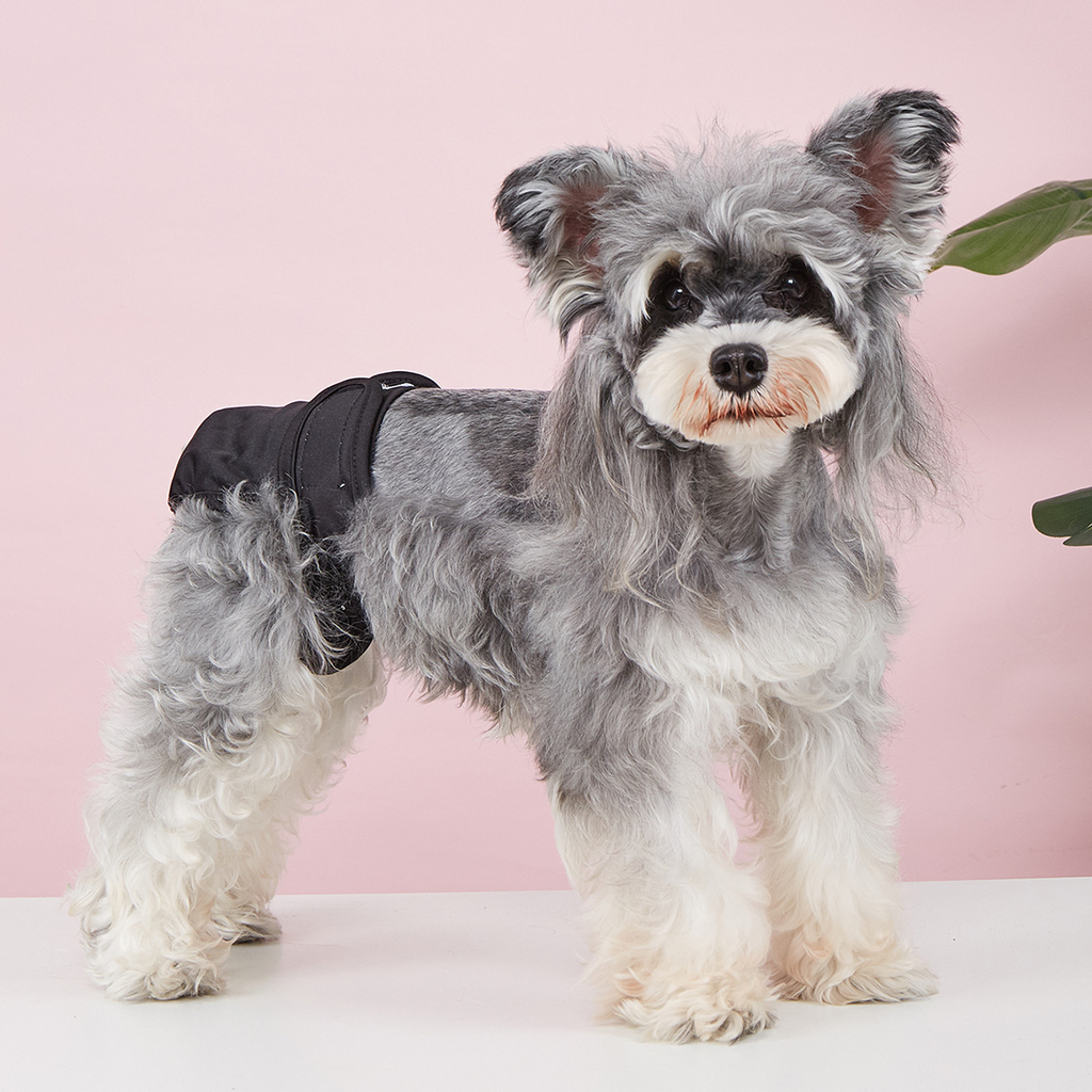 Pet Food Culture Washable Dog Sanitary Pants