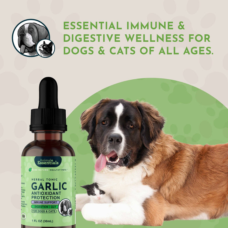 Garlic Single Herb Tonic | Antioxidant Protection