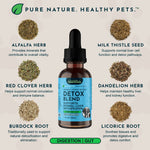 Detox Herbal Tonic Blend | Support Normal Liver Detoxification