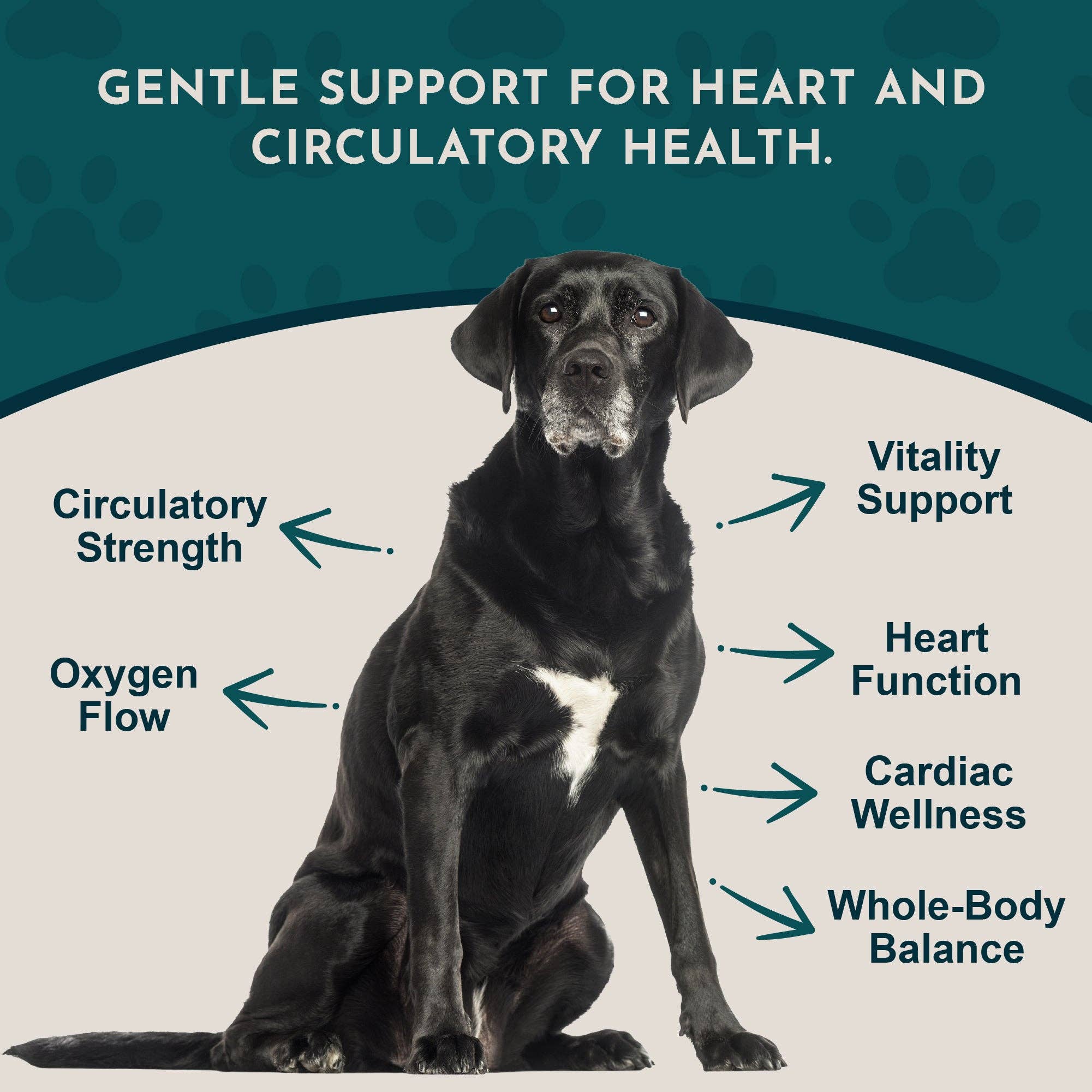 Heart Health Herbal Tonic Blend | Supports Cardiovascular Function