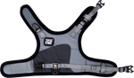 "The Tiny Adventurer" - Kitten Harness and Leash Set
