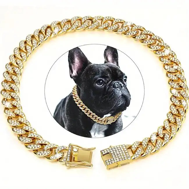 Gold-Tone Chain Dog Necklace with Decorative Stones