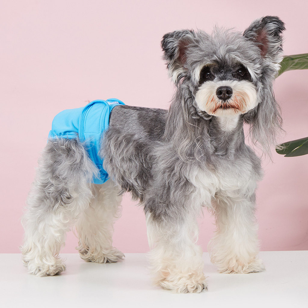 Pet Food Culture Washable Dog Sanitary Pants