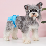 Pet Food Culture Washable Dog Sanitary Pants