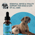 Detox Herbal Tonic Blend | Support Normal Liver Detoxification