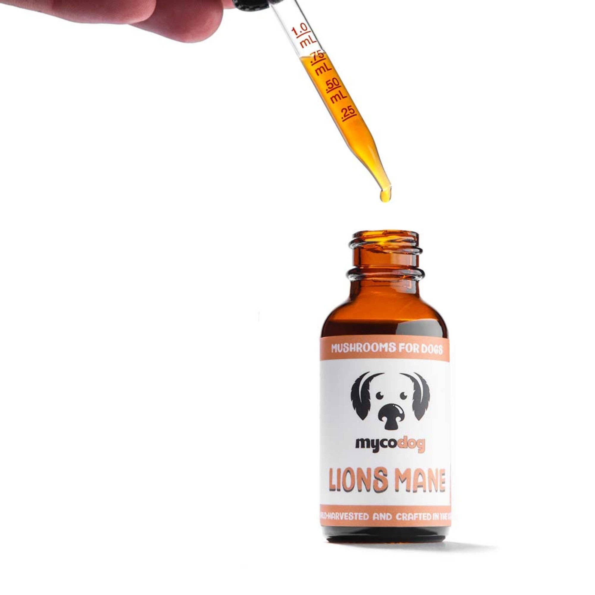 Lion’s Mane Mushroom Tincture for Dogs | Cognitive Support