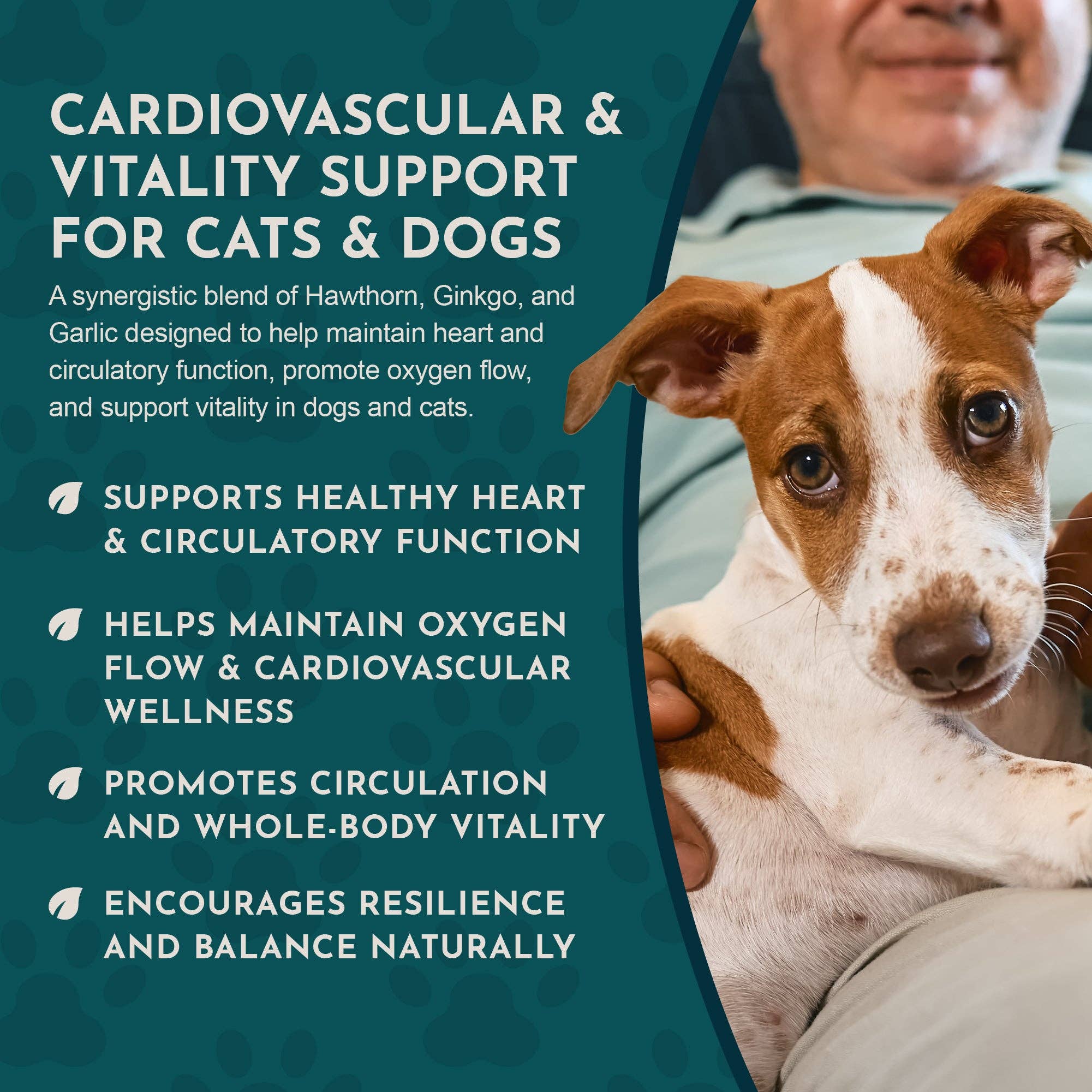 Heart Health Herbal Tonic Blend | Supports Cardiovascular Function