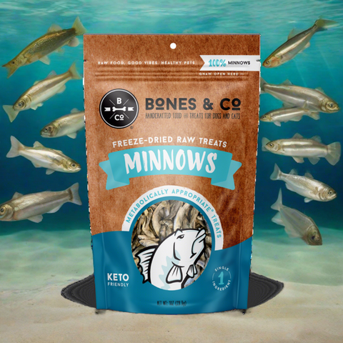 Bones & Co. Freeze-Dried Raw Minnows – Dog & Cat Treats
