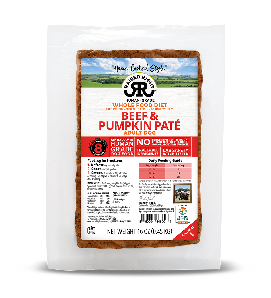 Raised Right- Wholefood Diet -Beef & Pumpkin Pate Recipe for Adult Dogs- Human Grade 16 oz