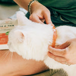 Wondercide Flea & Tick Collar – Cats