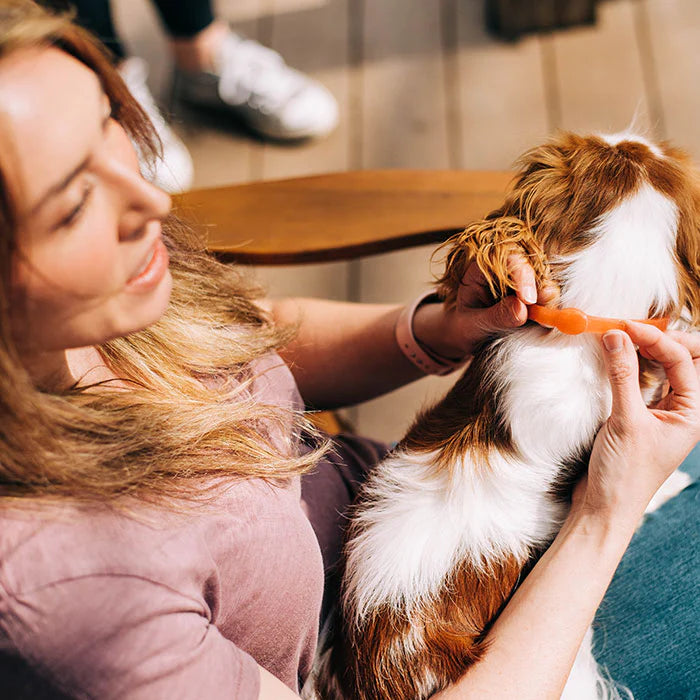 Wondercide Flea & Tick Collar for Dogs
