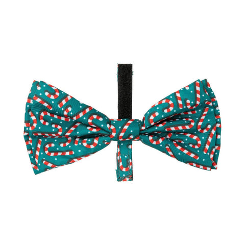 FuzzYard Candy Cane Christmas Pet Bandanas & Bow Ties