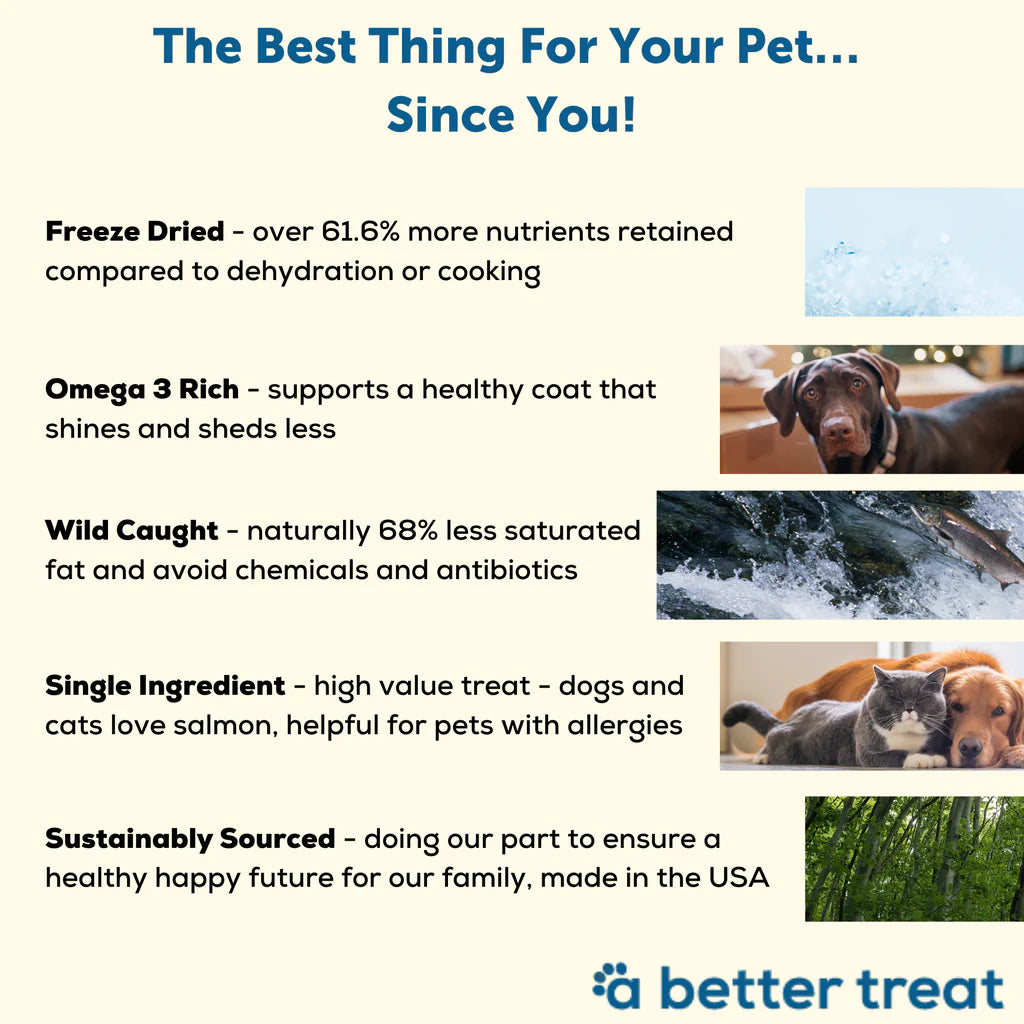 A Better Treat Freeze-Dried Alaskan Salmon – Wild-Caught Dog & Cat Treats, 3 oz