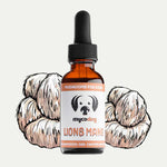 MycoDog Lion’s Mane Mushroom Extract for Dogs – 1 fl oz | Brain & Nerve Support