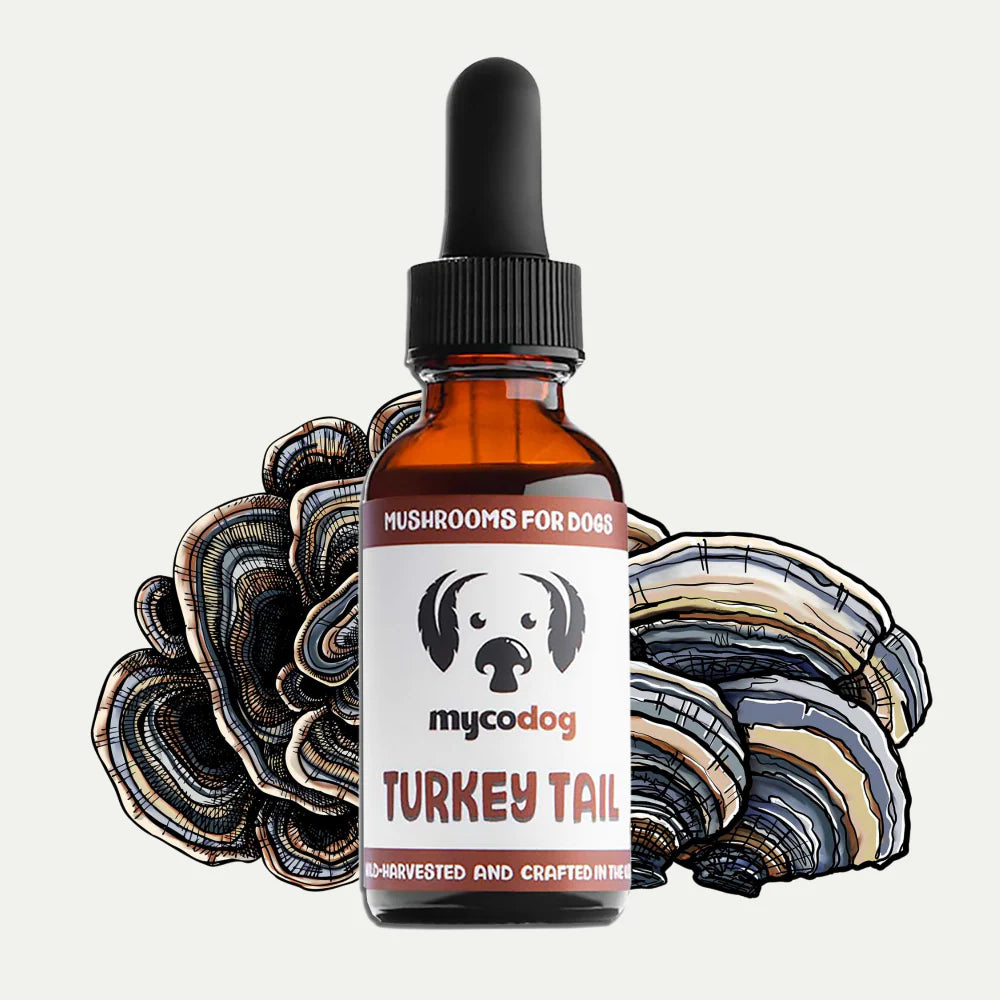 MycoDog Turkey Tail Extract For Dogs- 1 oz