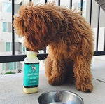 Bones & Co Raw Frozen Goat Milk - Nutrient-Rich Pet Supplement