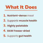 CocoTherapy Turkey & Pumpkin Organ Bites – Dog & Cat Treats, 3 oz