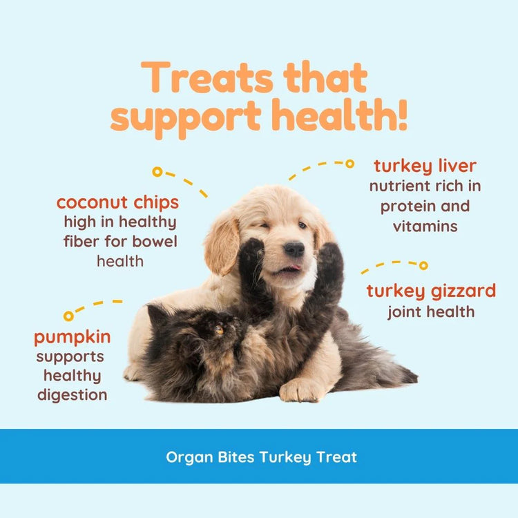 CocoTherapy Turkey & Pumpkin Organ Bites – Dog & Cat Treats, 3 oz