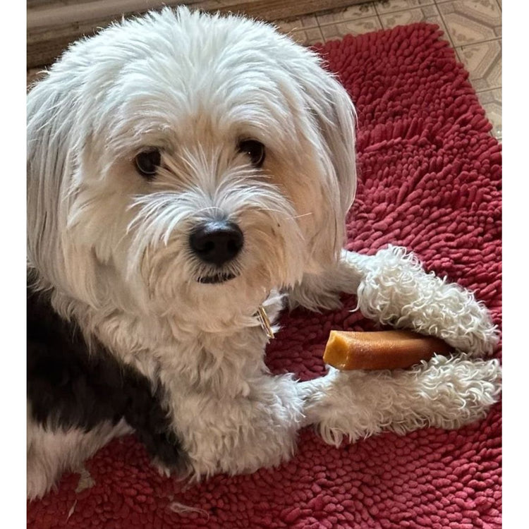 Cheesies Himalayan Yak Cheese Dog Chew