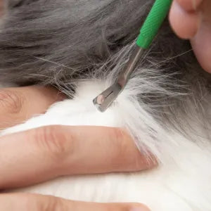 TickCheck Premium Tick Remover Toolkit