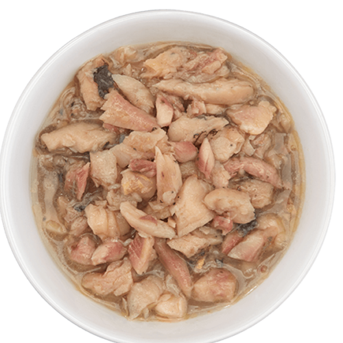 Tiki Cat Tilapia Recipe in Tilapia Consomme 2.8 oz