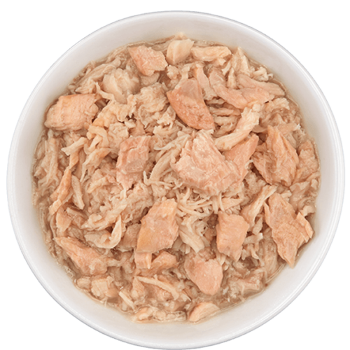 Tiki Cat Wild Salmon & Chicken in Consommé – 2.8 oz