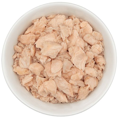 Tiki Cat Wild Salmon Recipe in Salmon Consomme 2.8 oz