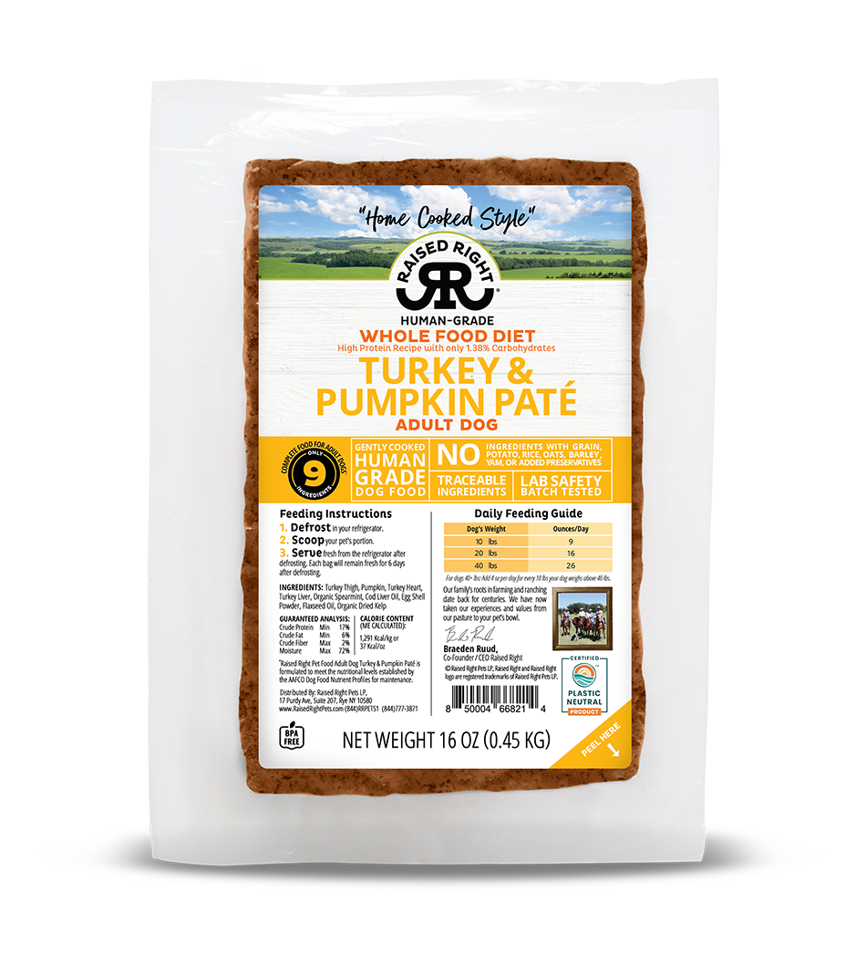 Raised Right- Wholefood Diet - Turkey & Pumpkin Pate Recipe for Adult Dogs - Human Grade 16 oz