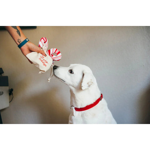P.L.A.Y. Cheerful Candy Canes Holiday Dog Toy Set