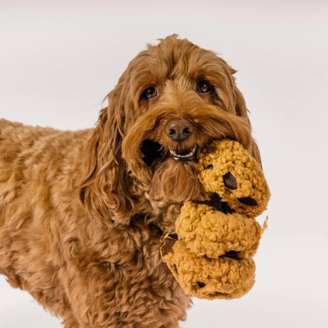 P.L.A.Y. Cookies n' Treats - Dog Toy