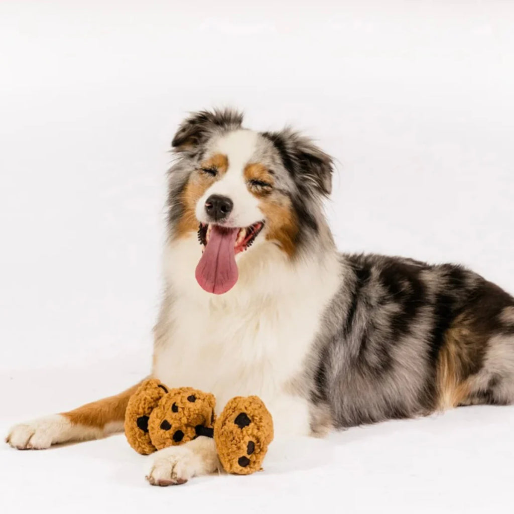 P.L.A.Y. Cookies n' Treats - Dog Toy