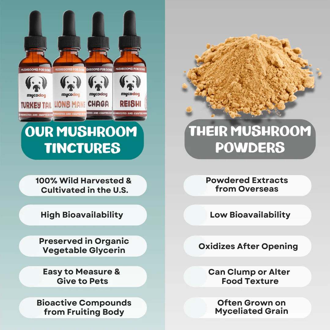 MycoDog Turkey Tail Extract For Dogs- 1 oz