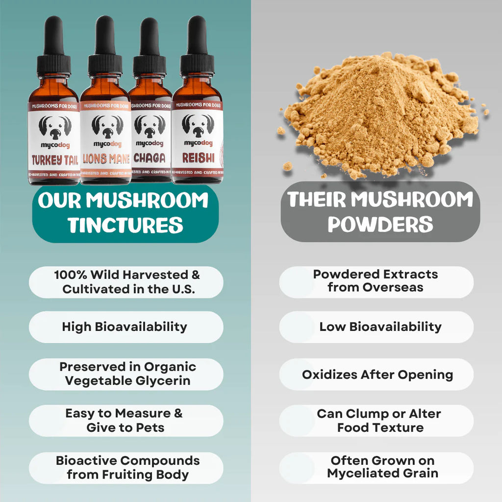 MycoDog Turkey Tail Extract For Dogs- 1 oz