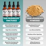 MycoDog Turkey Tail Extract For Dogs- 1 oz