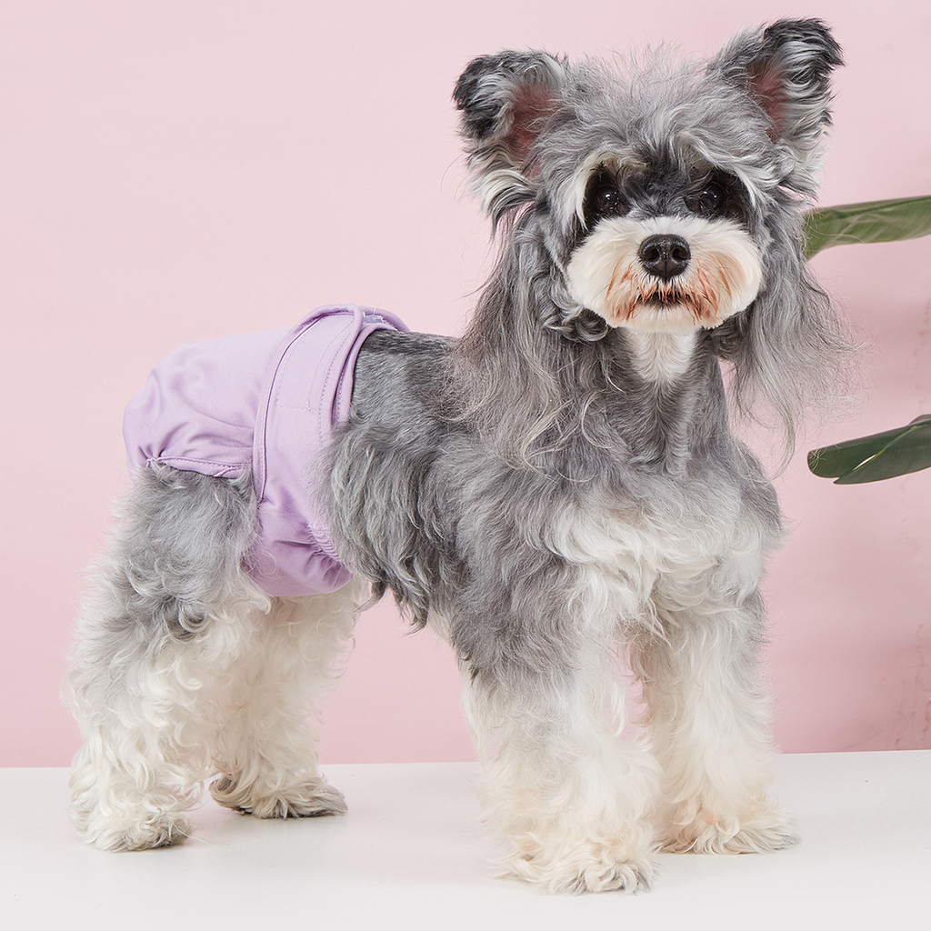 Pet Food Culture Washable Dog Sanitary Pants