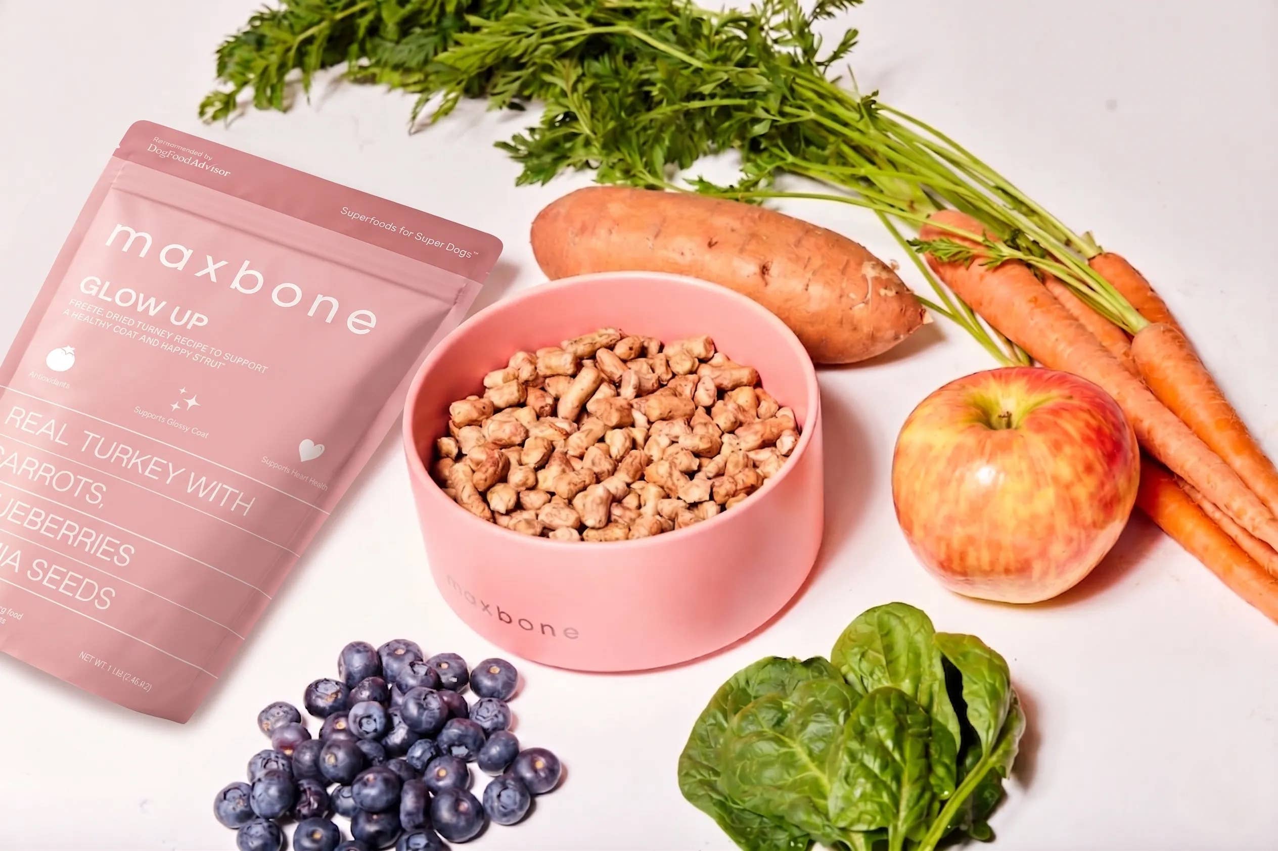 GLOW UP Turkey Freeze-Dried Dog Food