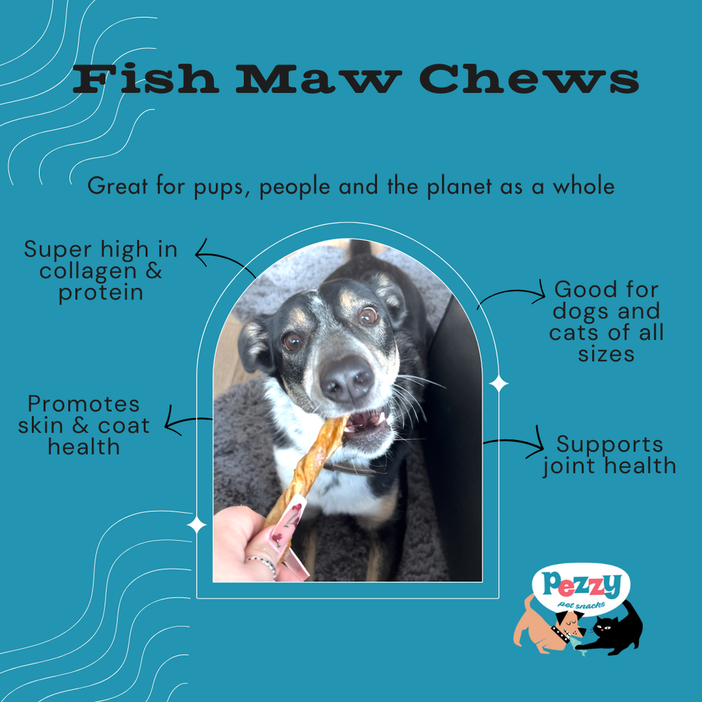 Fish Maw (Single Ingredient Chew)