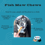 Fish Maw (Single Ingredient Chew)