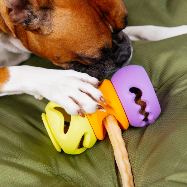 WAGLAB PlayStack The Bully Chew Holder