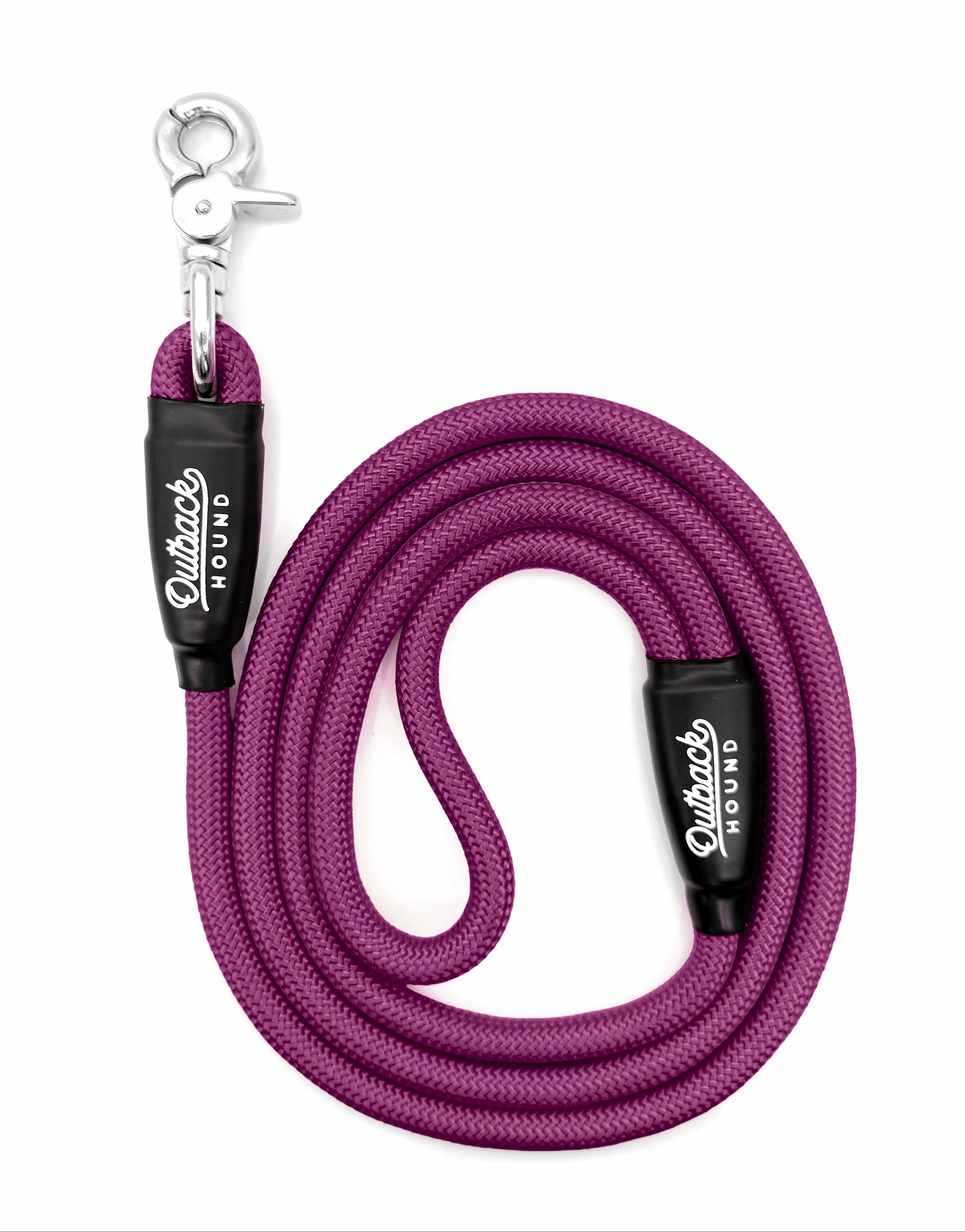 Plum Everyday Dog Leash