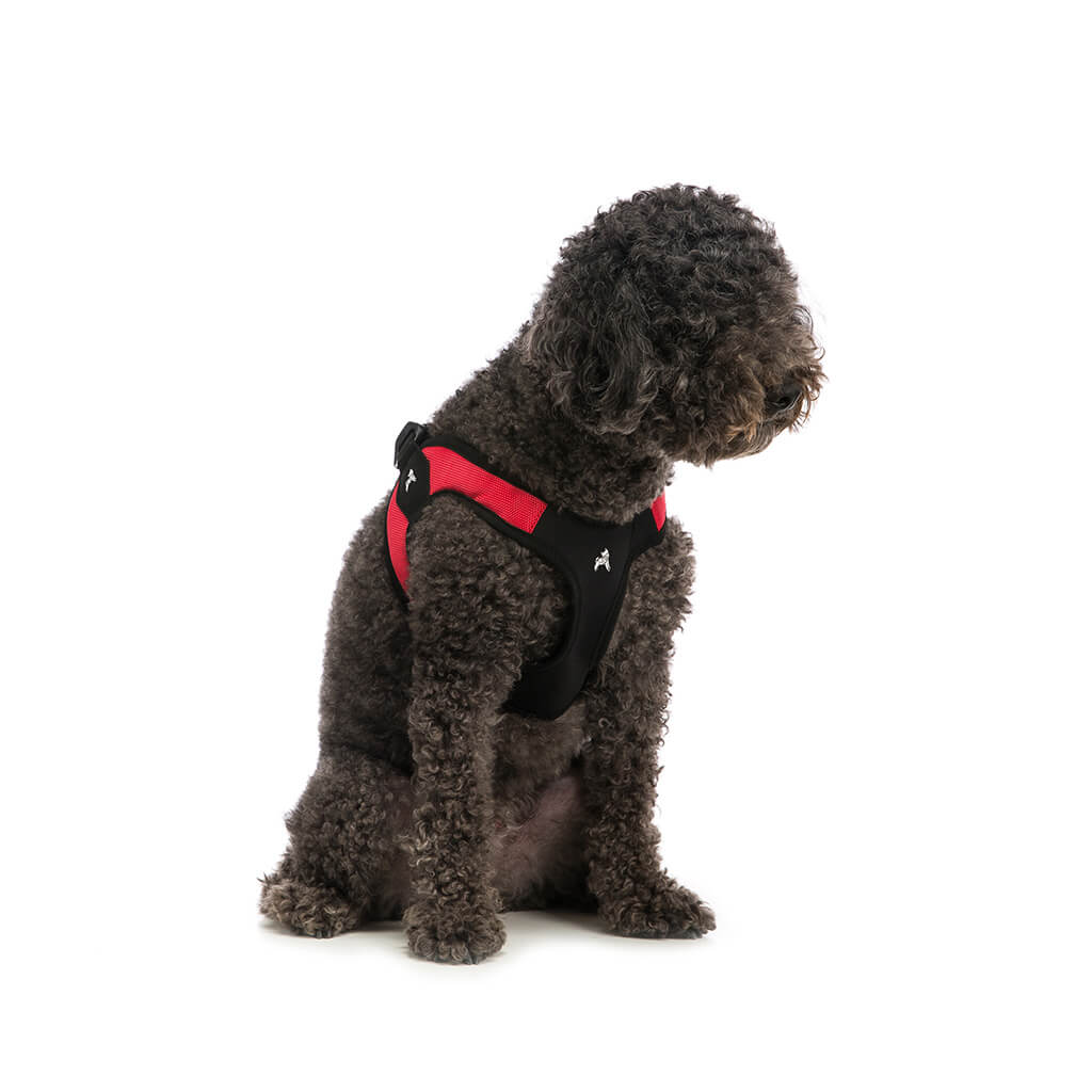 Gooby Escape Free Memory Foam Dog Harness
