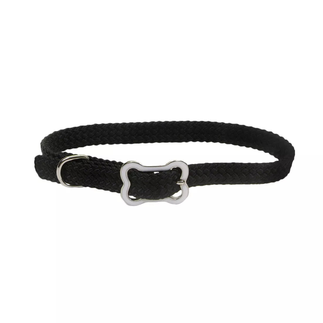 Coastal Pet Sunburst Collar