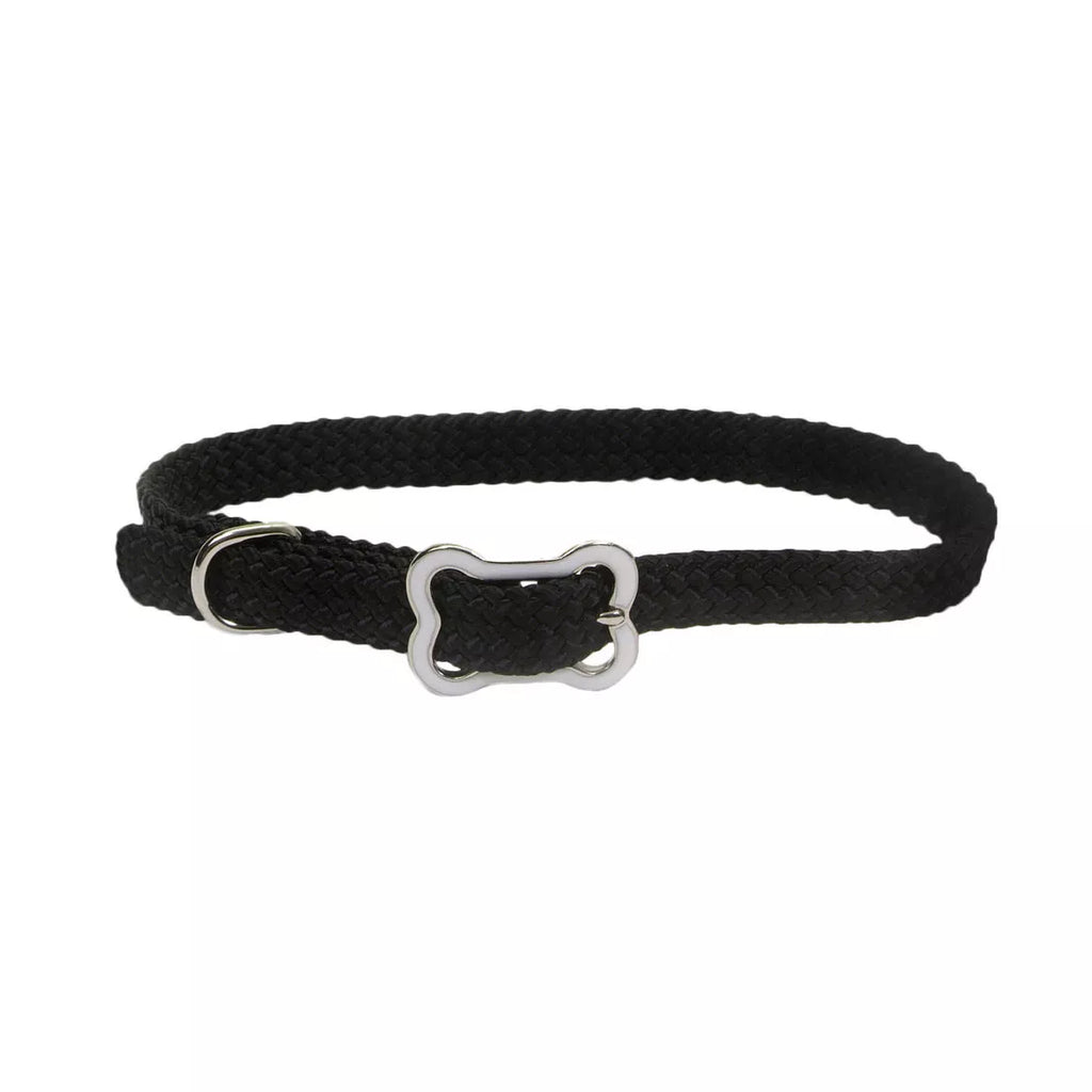 Coastal Pet Sunburst Collar