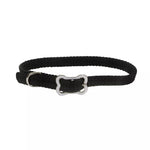 Coastal Pet Sunburst Collar