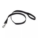 Coastal Pet Nylon Leash