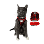 "The True Adventurer" Reflective Cat & Kitten Harness and Leash