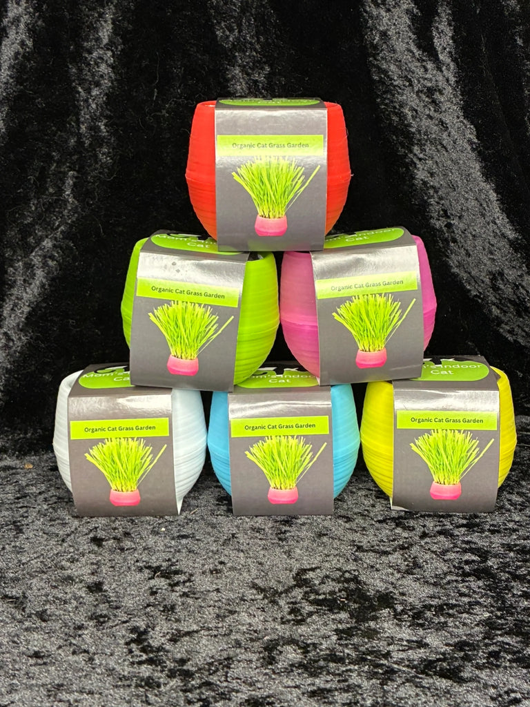 Mom’s Indoor Cat Organic Cat Grass Growing Kit
